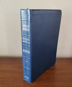 KJV Holy Bible 