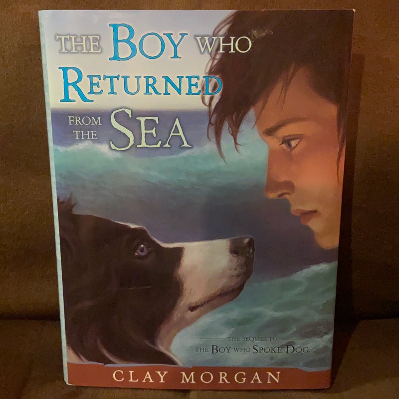 The Boy Who Returned From The Sea