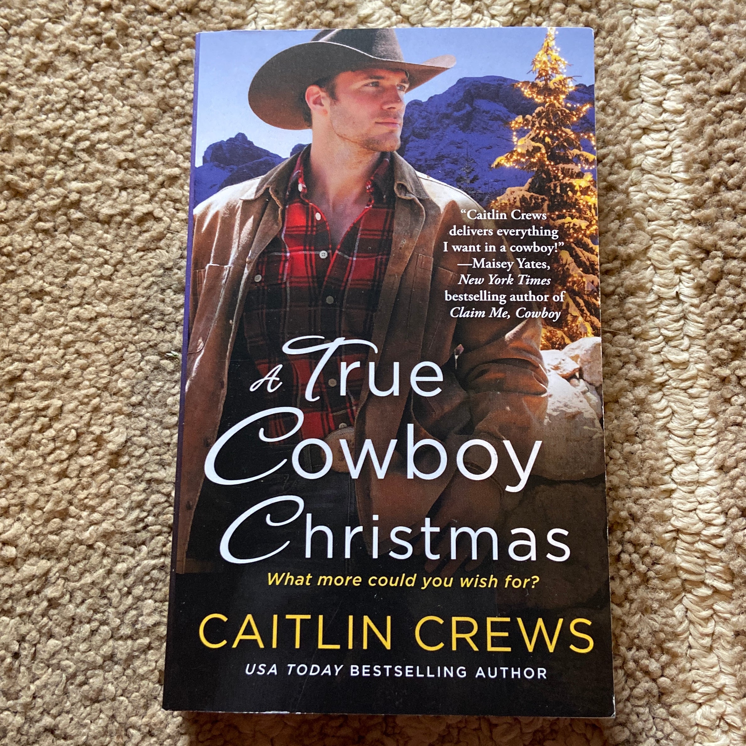A True Cowboy Christmas