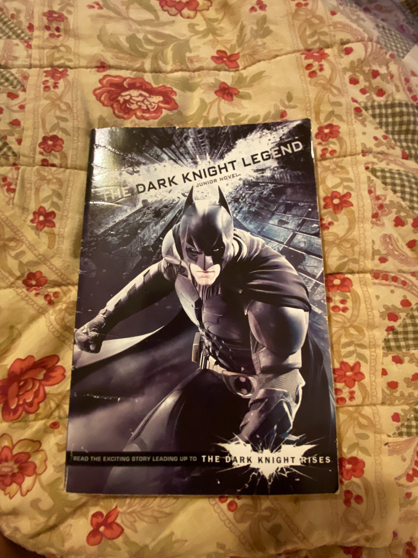 The Dark Knight Legend