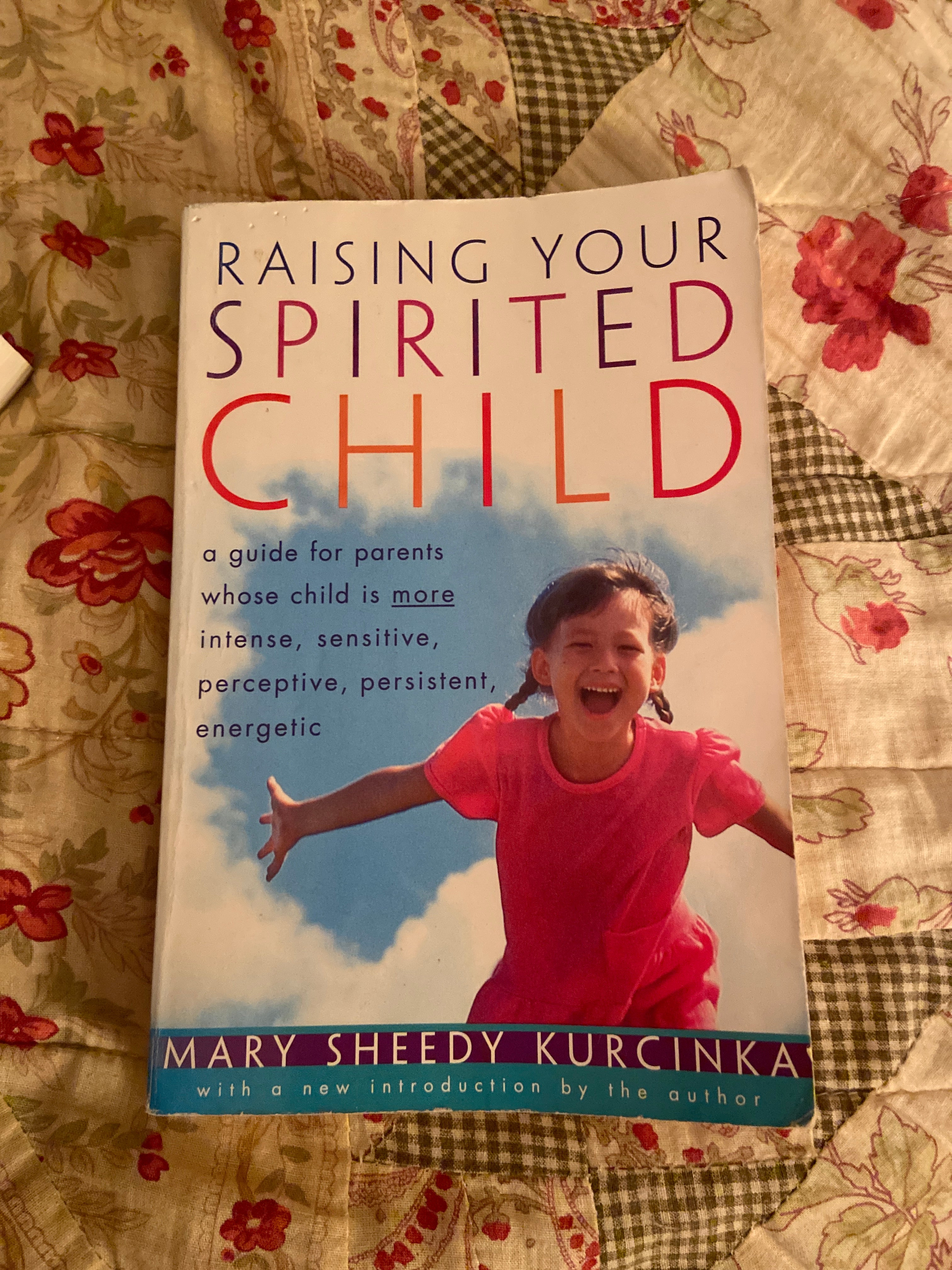 Raising Your Spirited Child