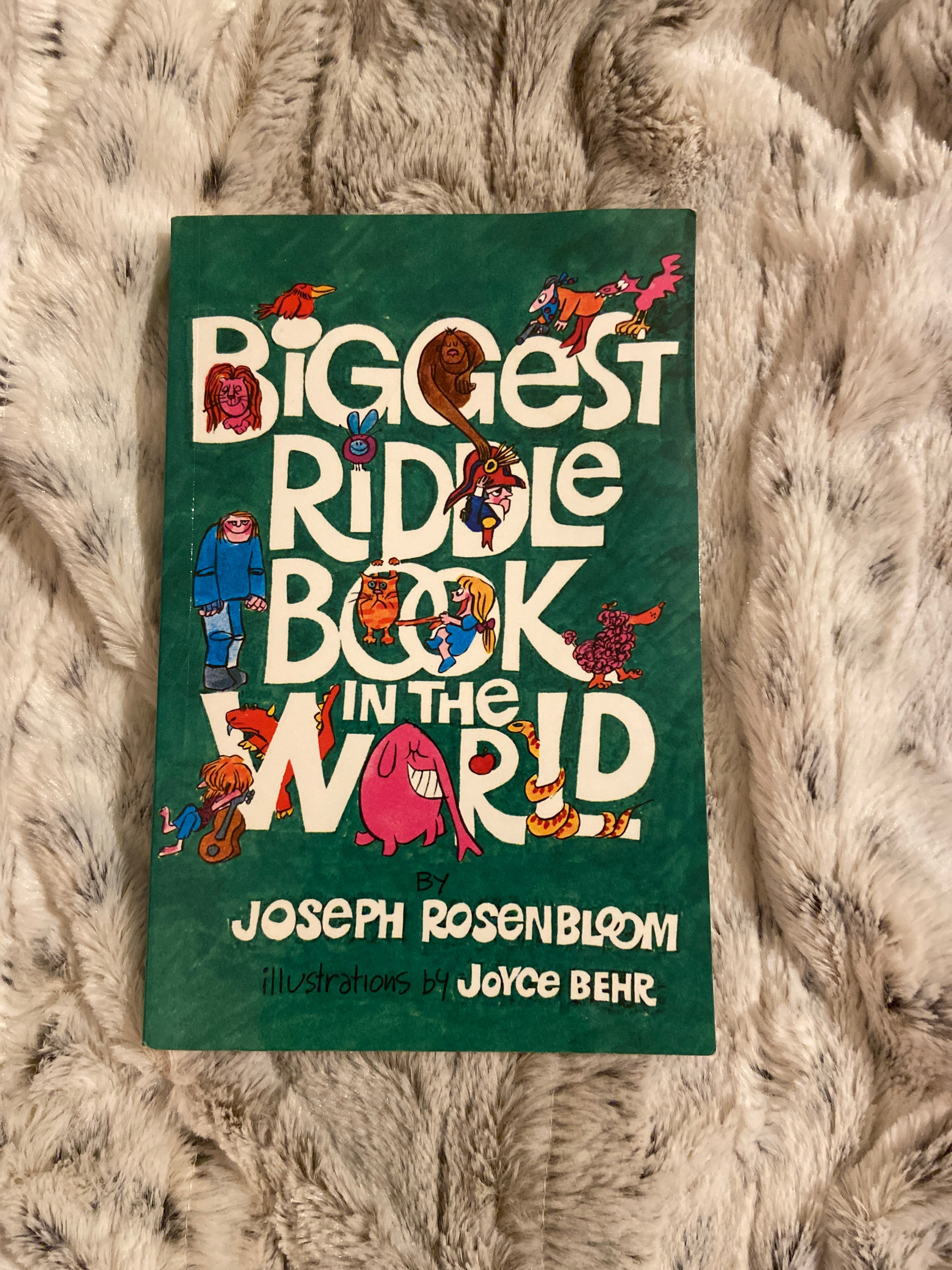 Biggest Riddle Book in the World