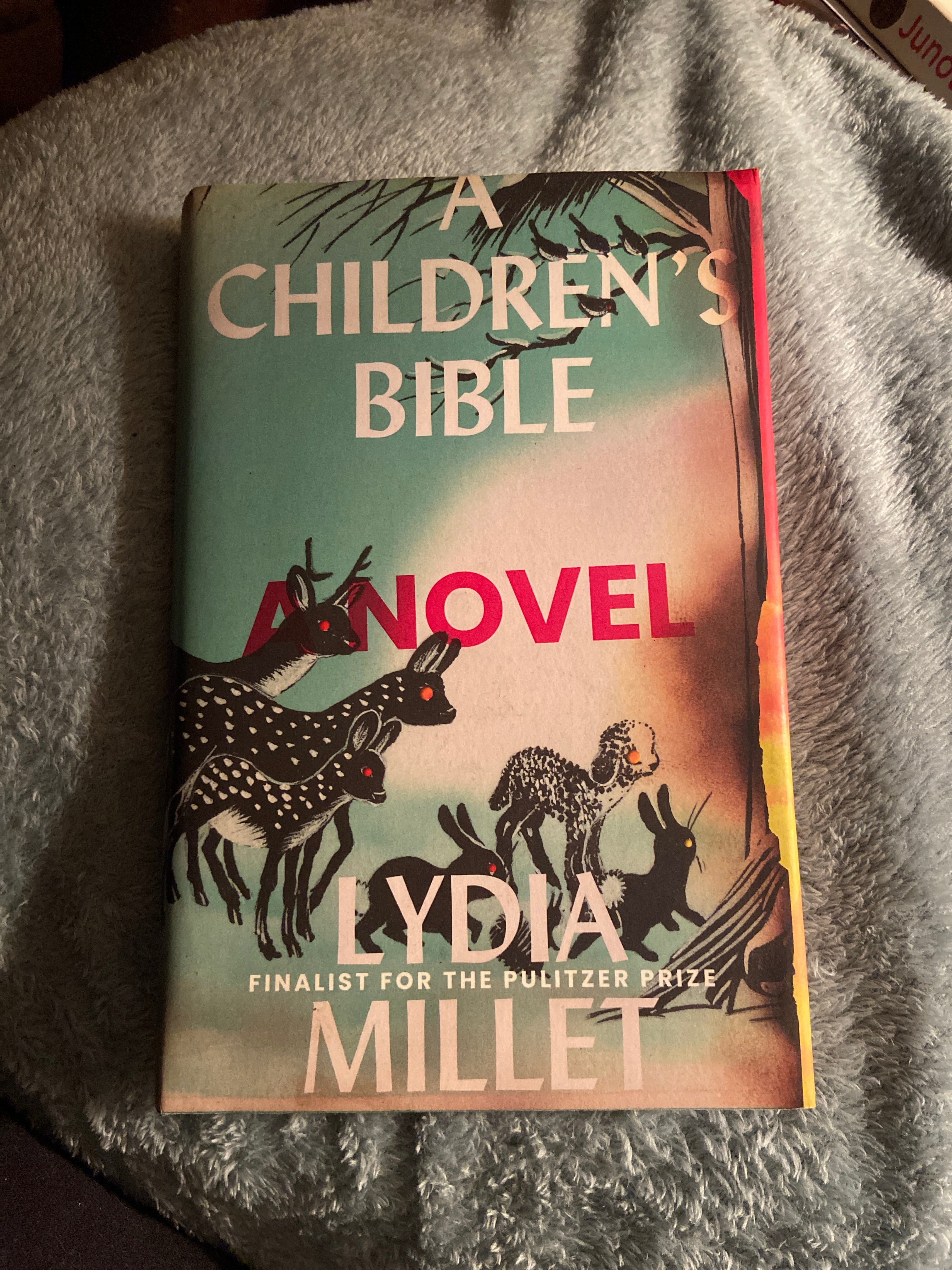 A Children's Bible