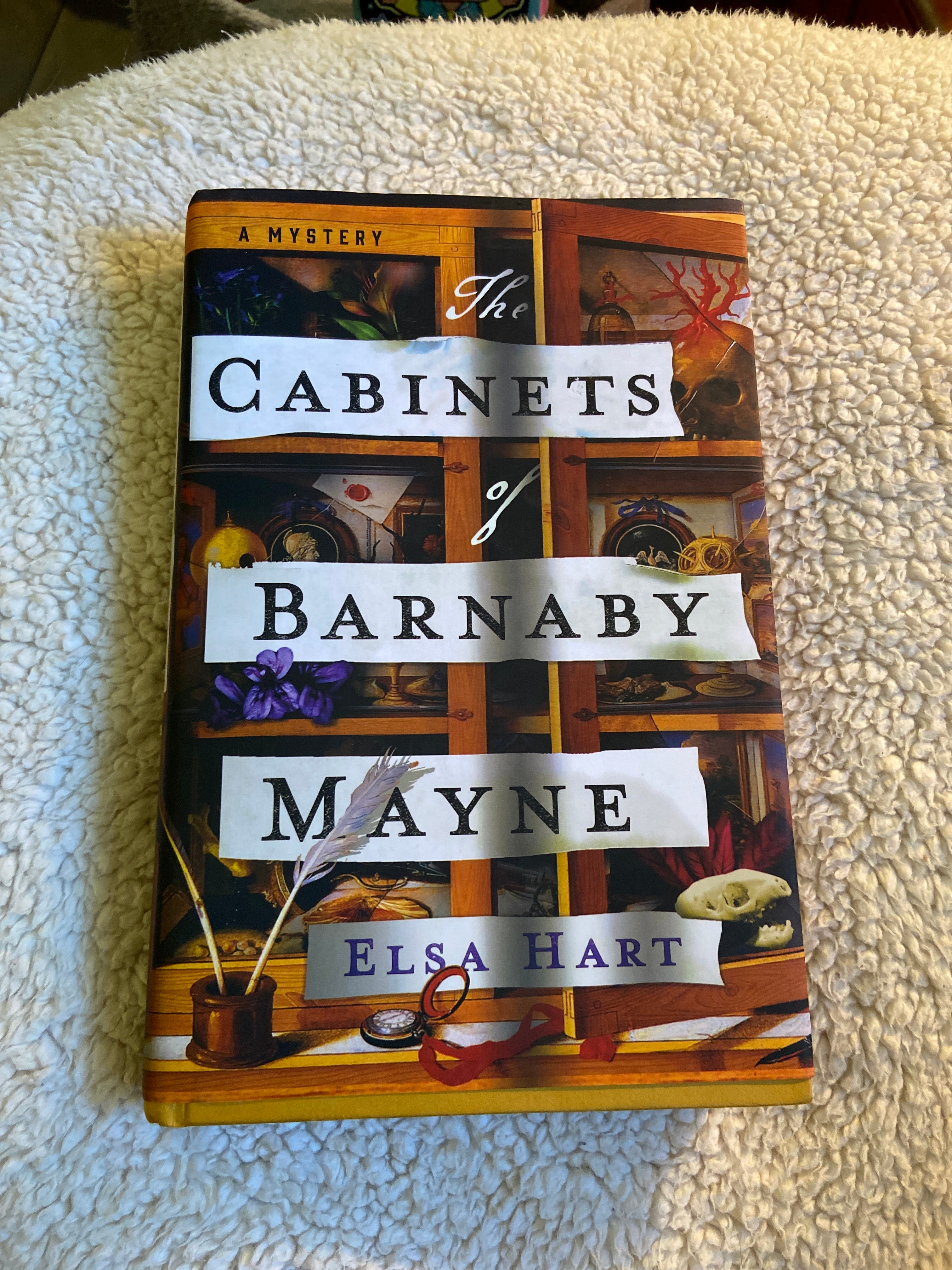 The Cabinets of Barnaby Mayne