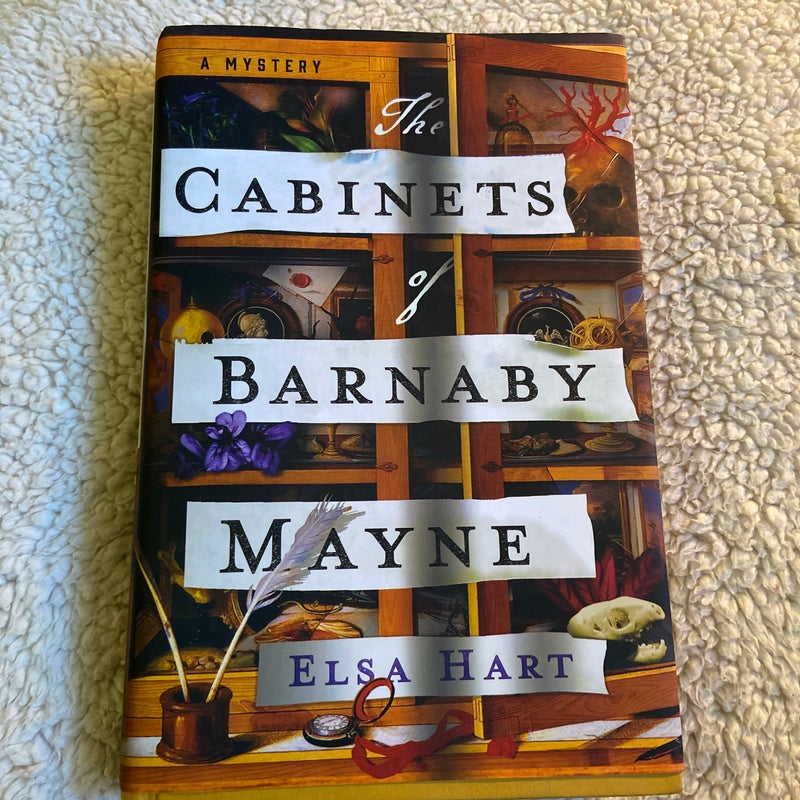 The Cabinets of Barnaby Mayne