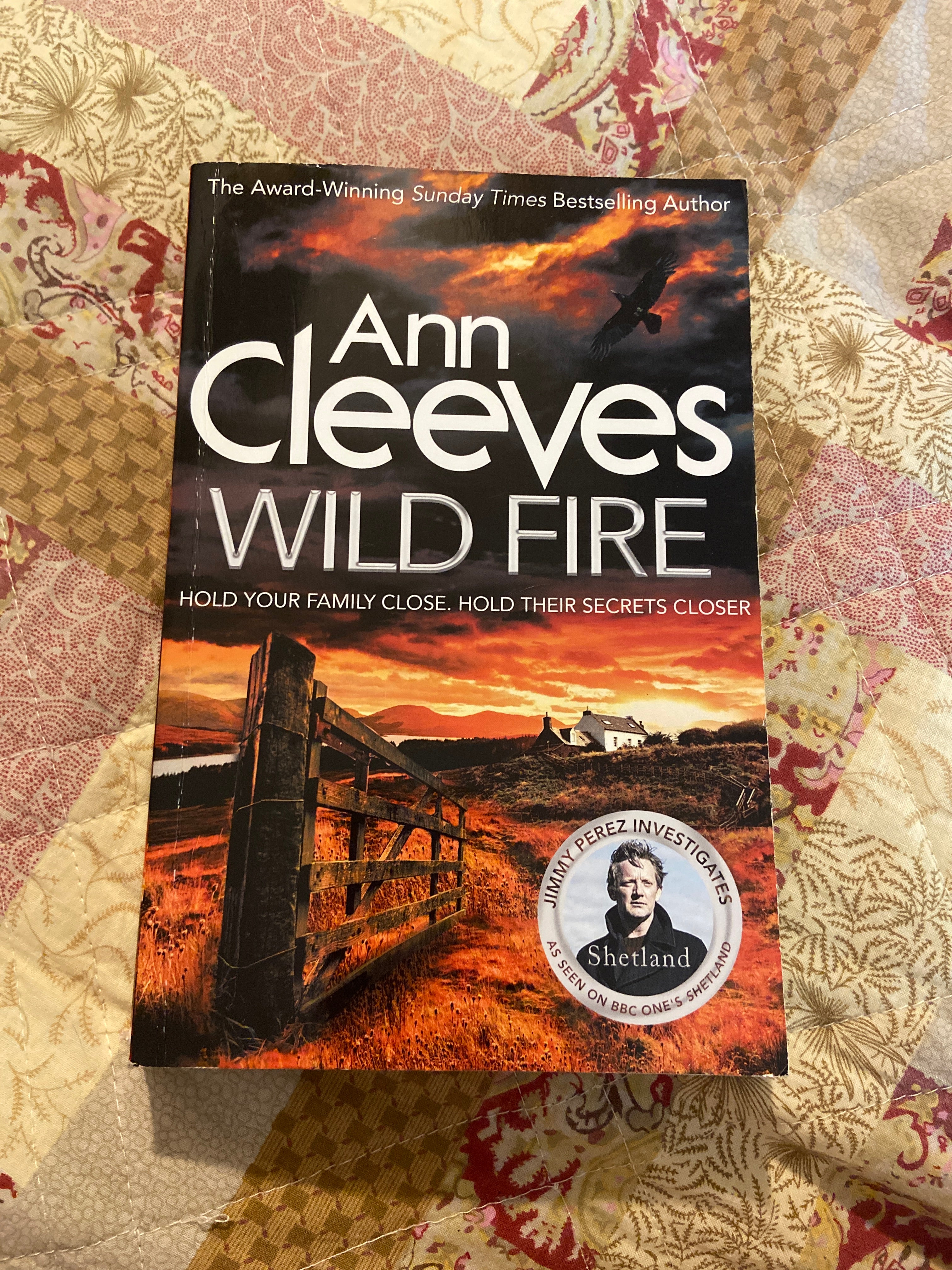 Wild Fire: the Shetland Series 8