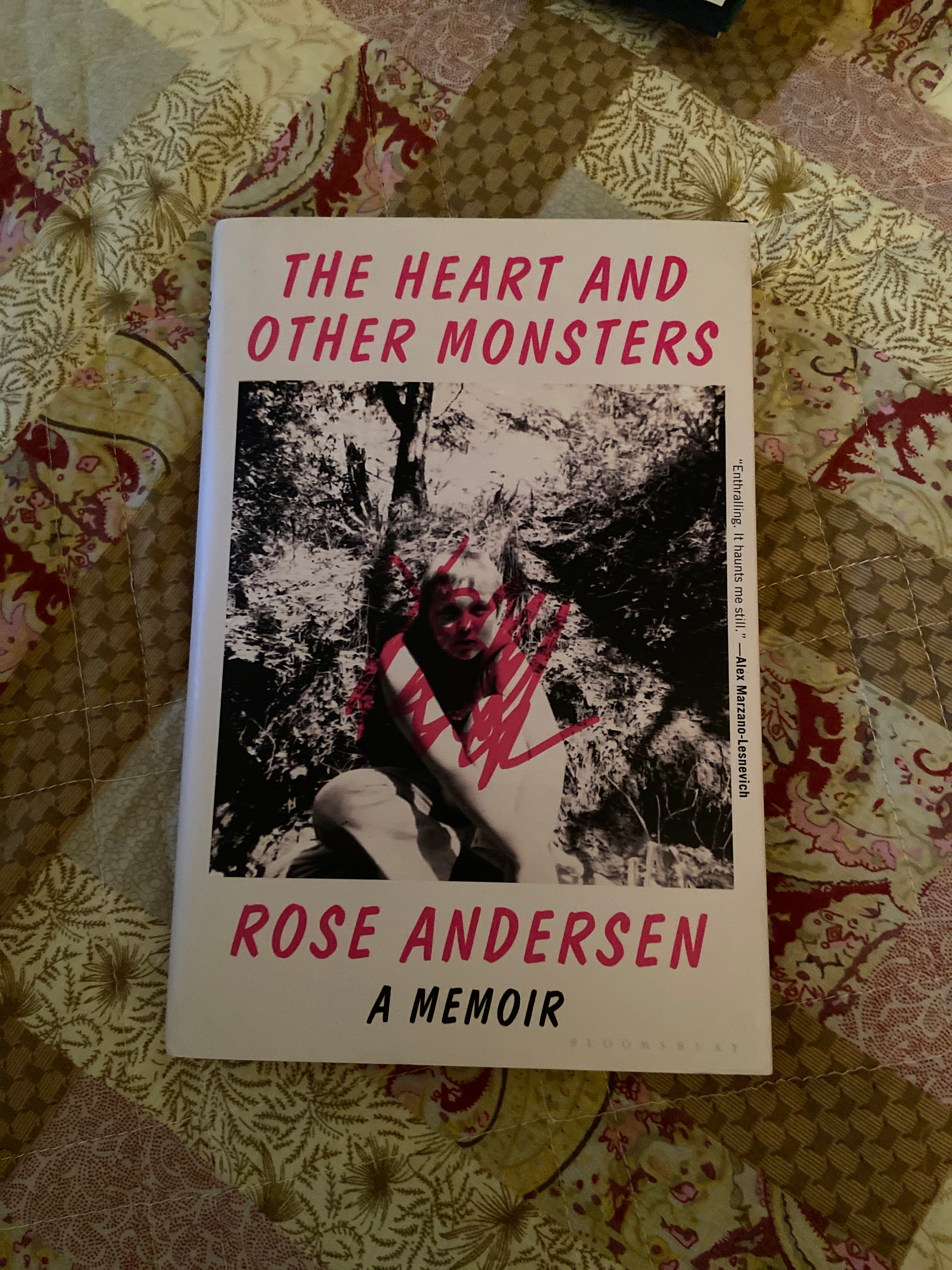 The Heart and Other Monsters