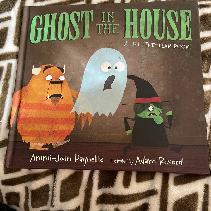 Ghost in the House: a Lift-The-Flap Book