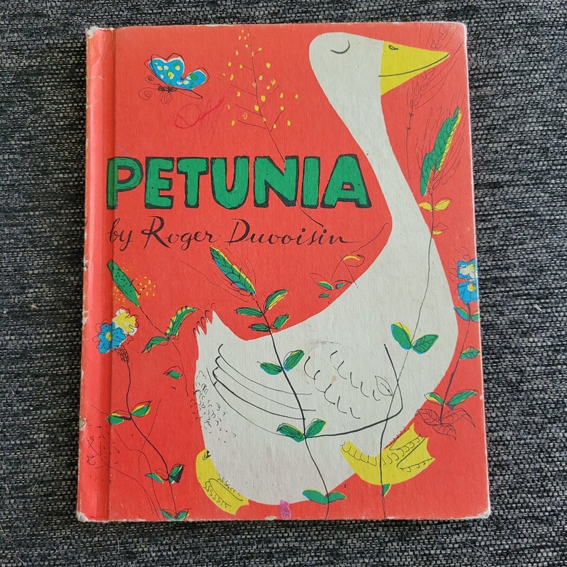 Petunia 