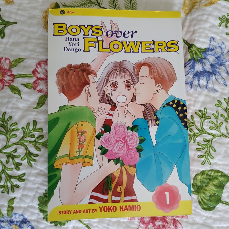 Boys over Flowers, Vol. 1