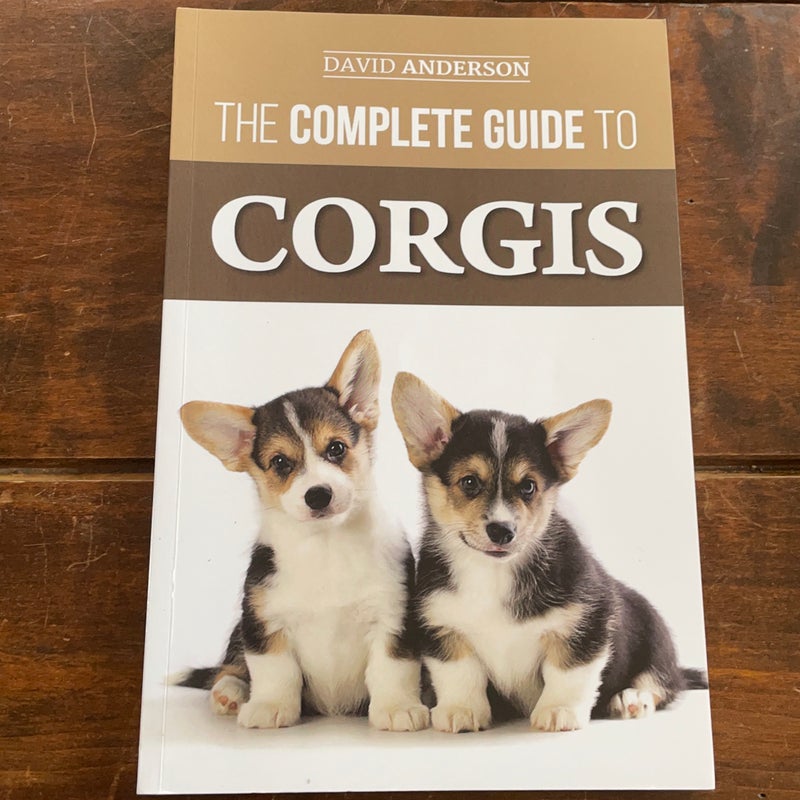 The Complete Guide to Morkies