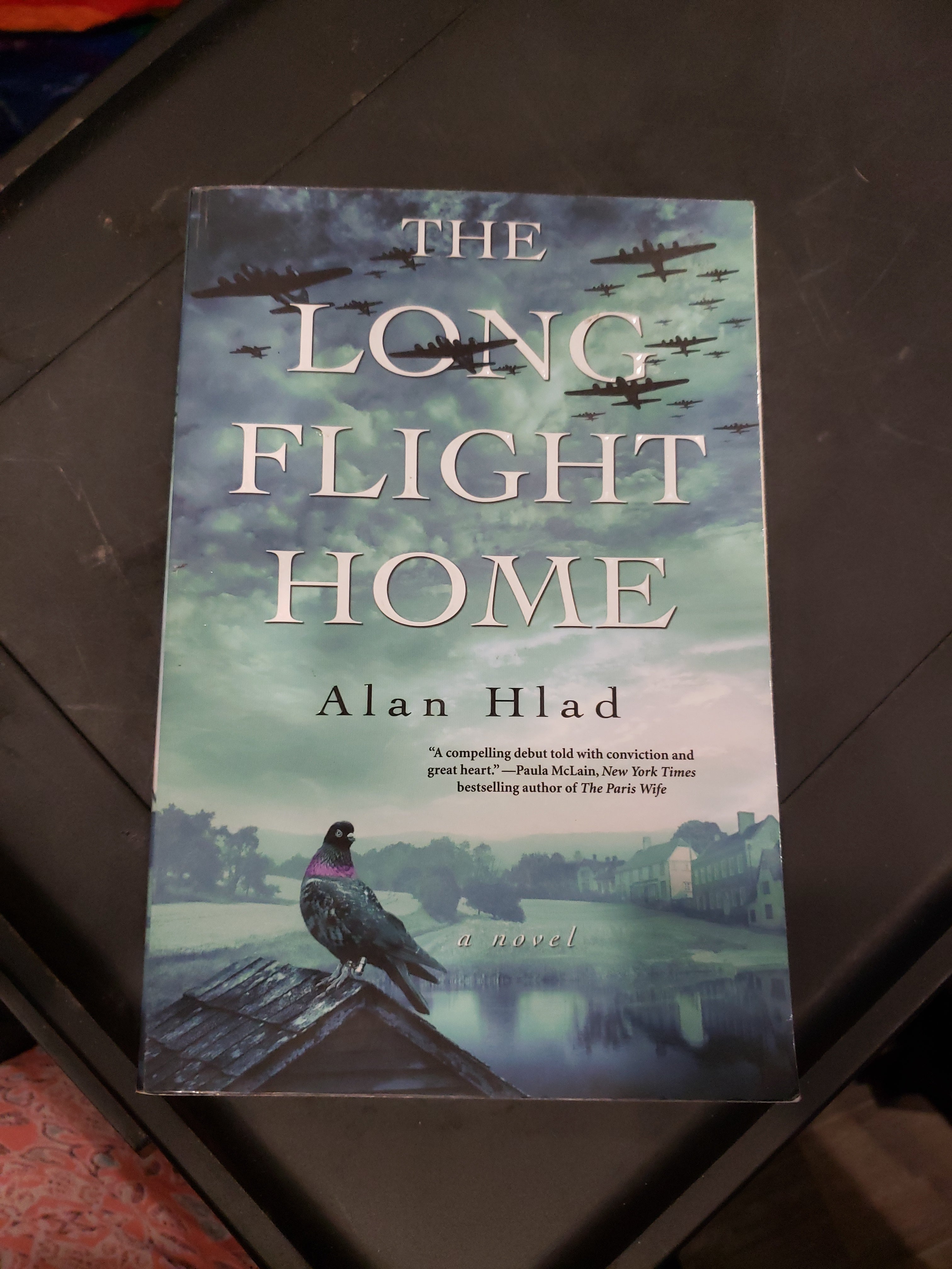 The Long Flight Home