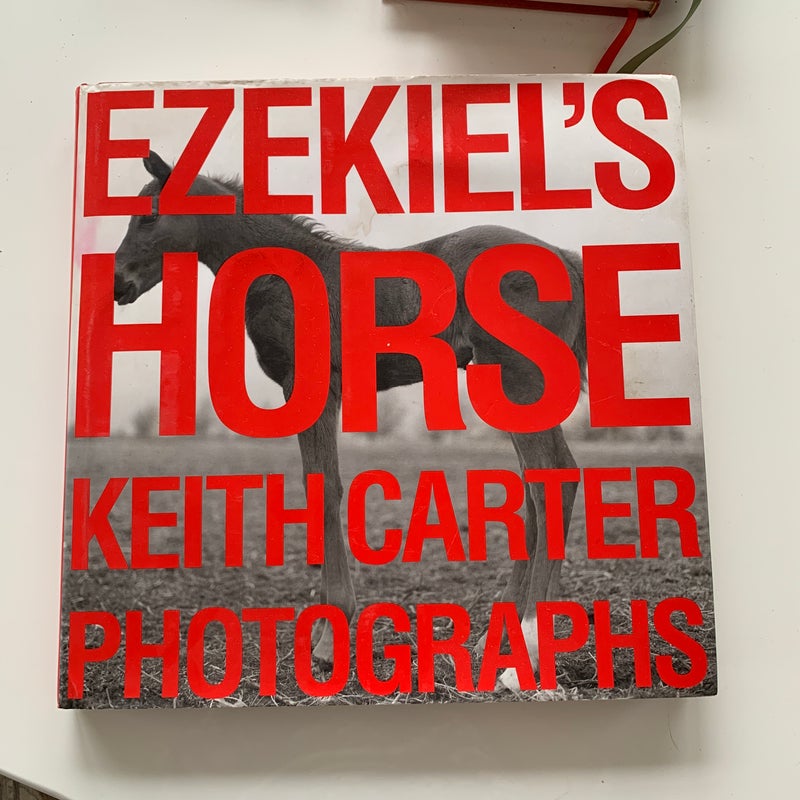 Ezekiel's Horse