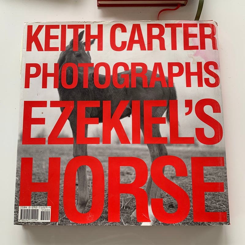 Ezekiel's Horse