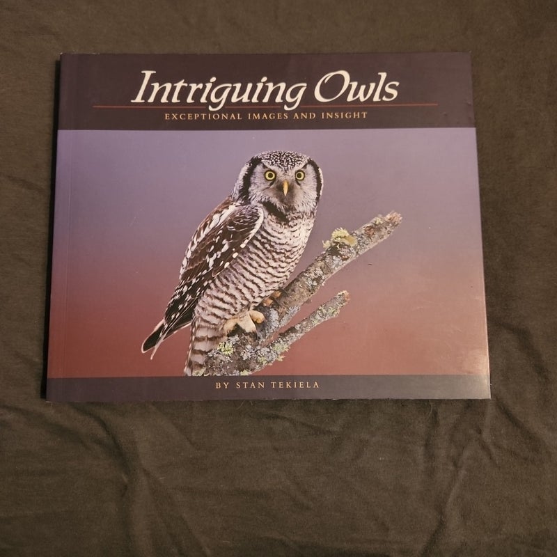 Intriguing Owls