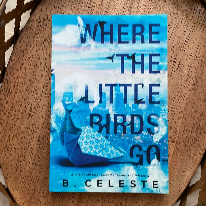 Where the Little Birds Go