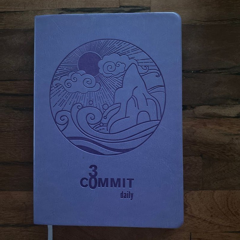 Commit30
