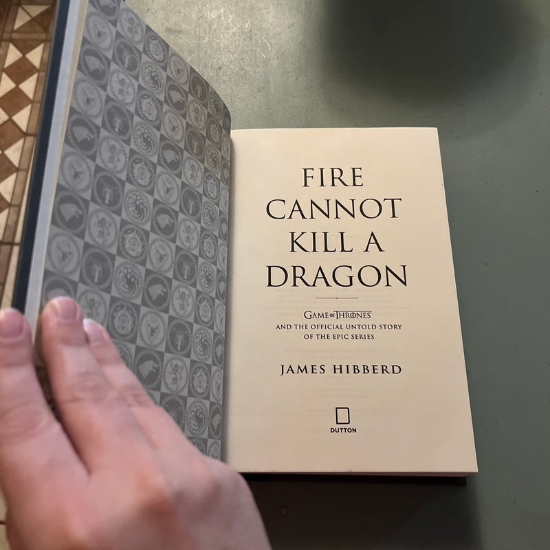 Fire Cannot Kill a Dragon