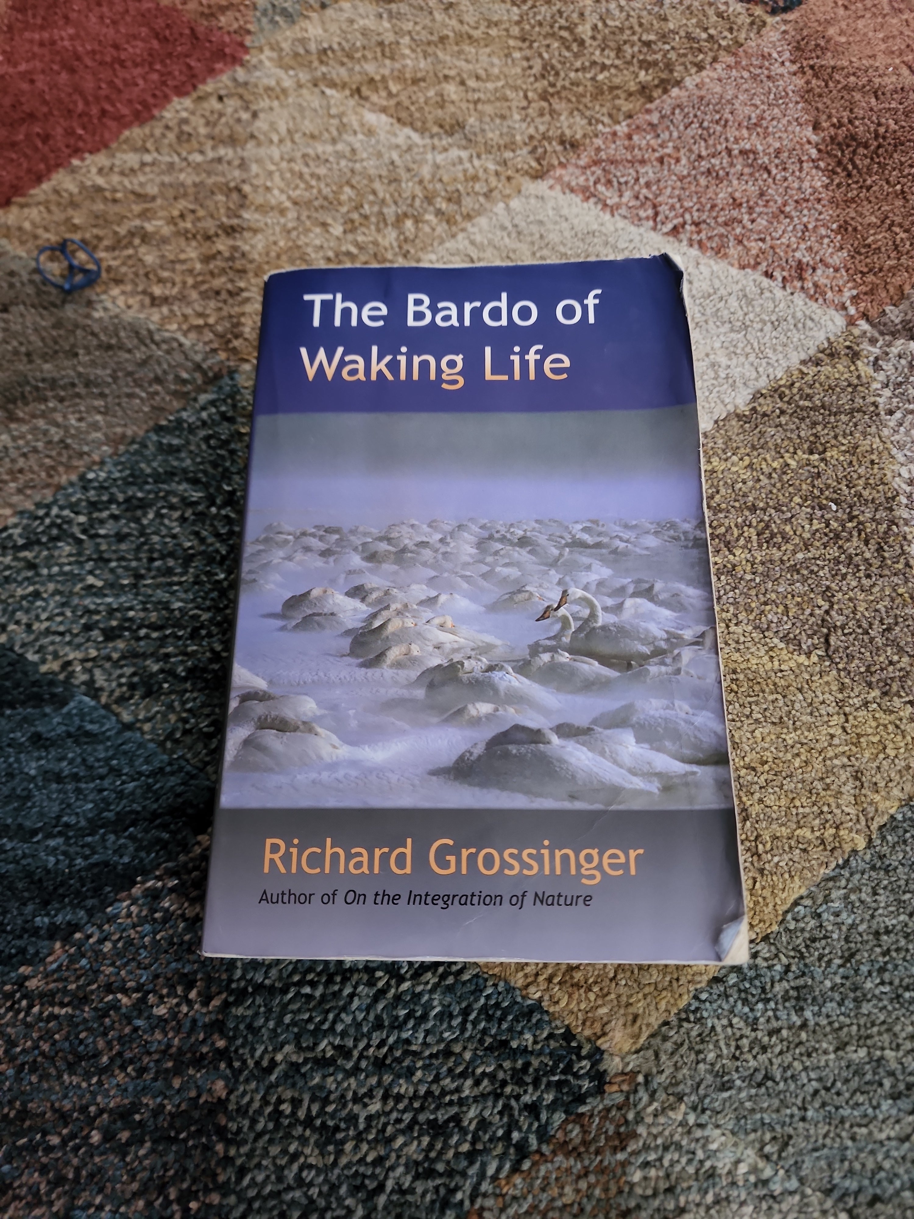 The Bardo of Waking Life