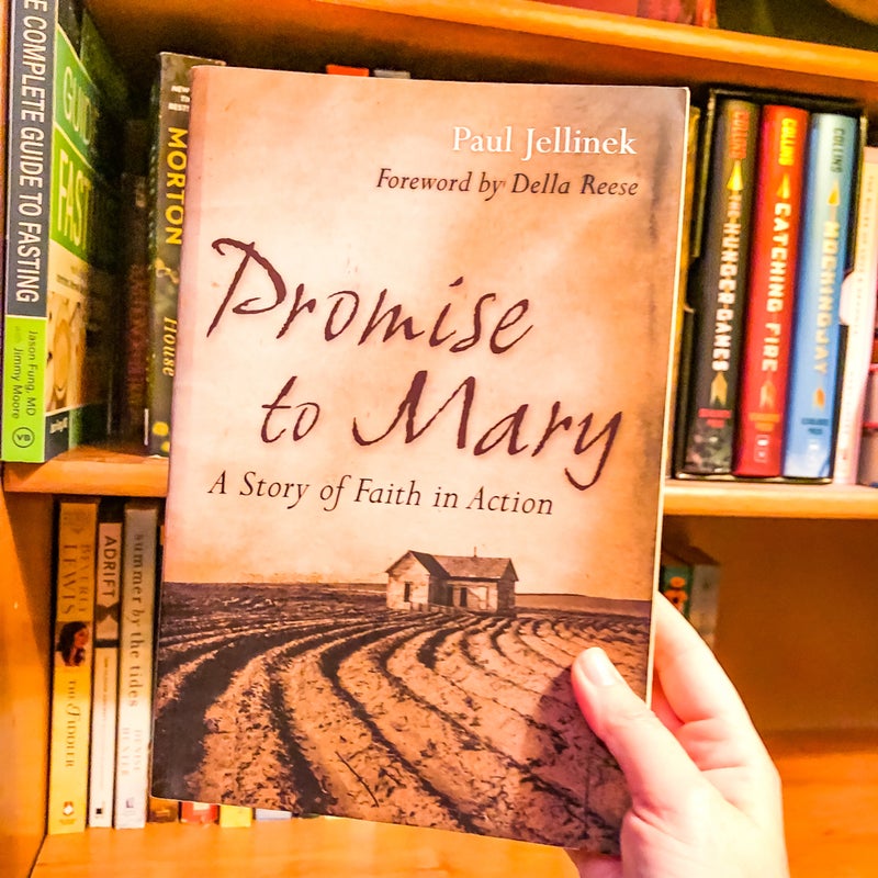 Promise to Mary