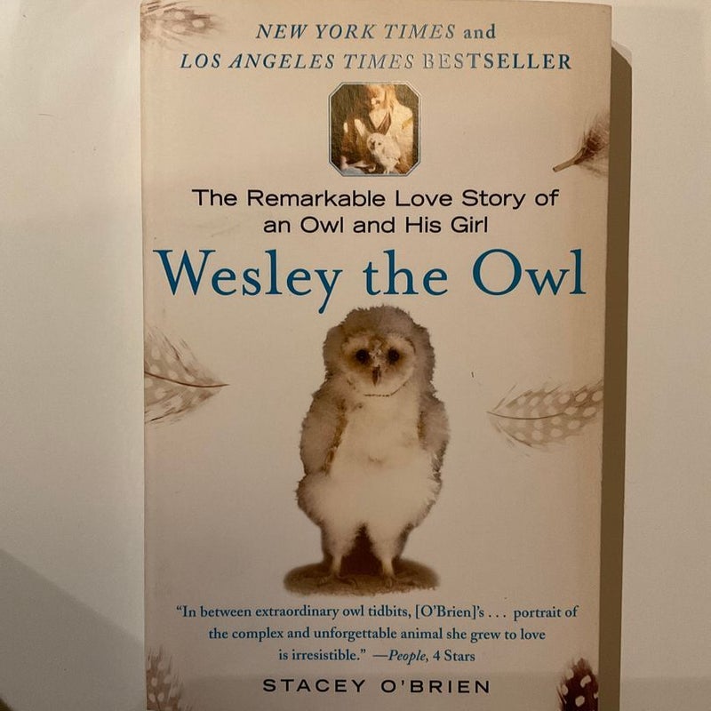 Wesley the Owl
