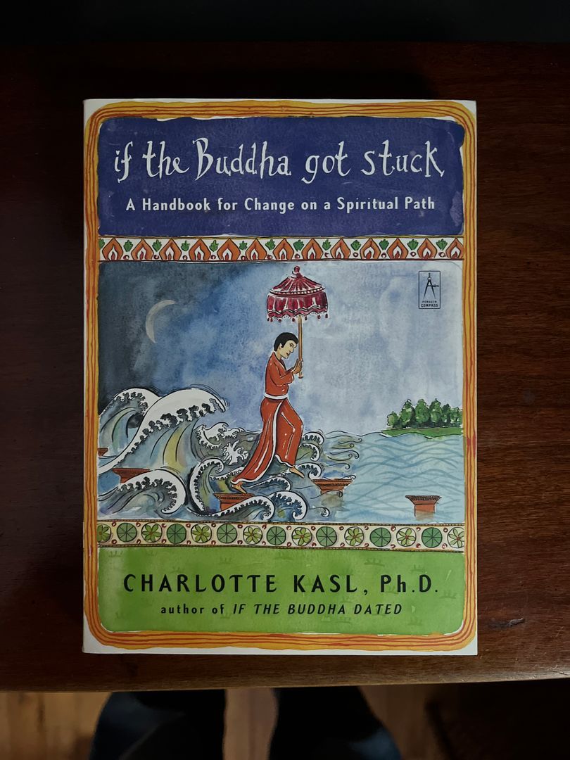 If the Buddha Got Stuck
