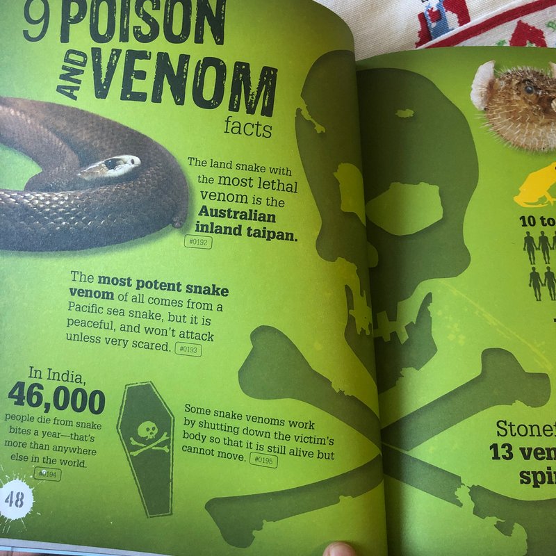 1000 Gross & Disgusting Facts by Discovery Kids , Hardcover | Pangobooks