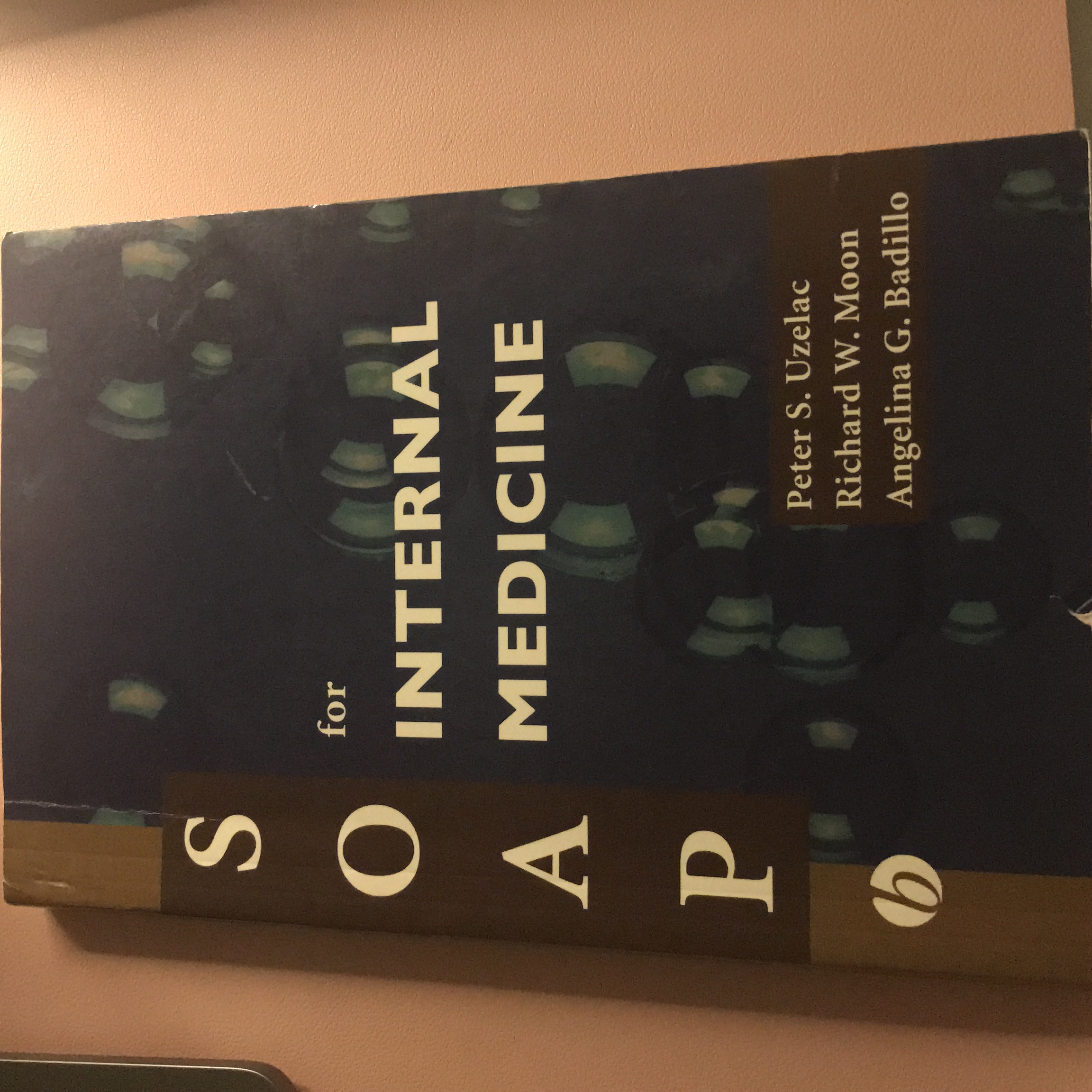 SOAP for Internal Medicine by Richard W. Moon, Angelina G. Badillo ...