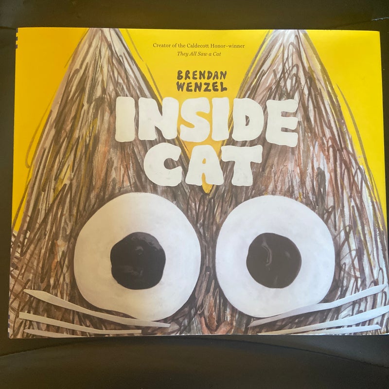 Inside Cat