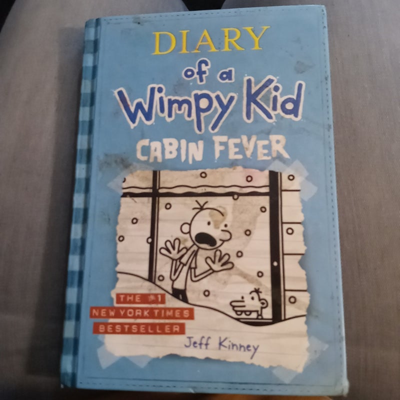 Diary of a Wimpy Kid # 6