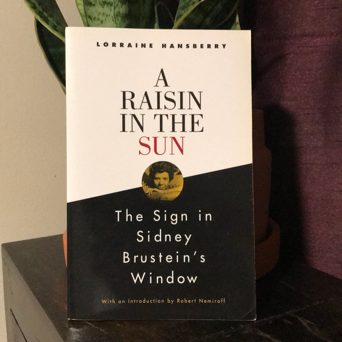 A Raisin in the Sun and the Sign in Sidney Brustein's Window