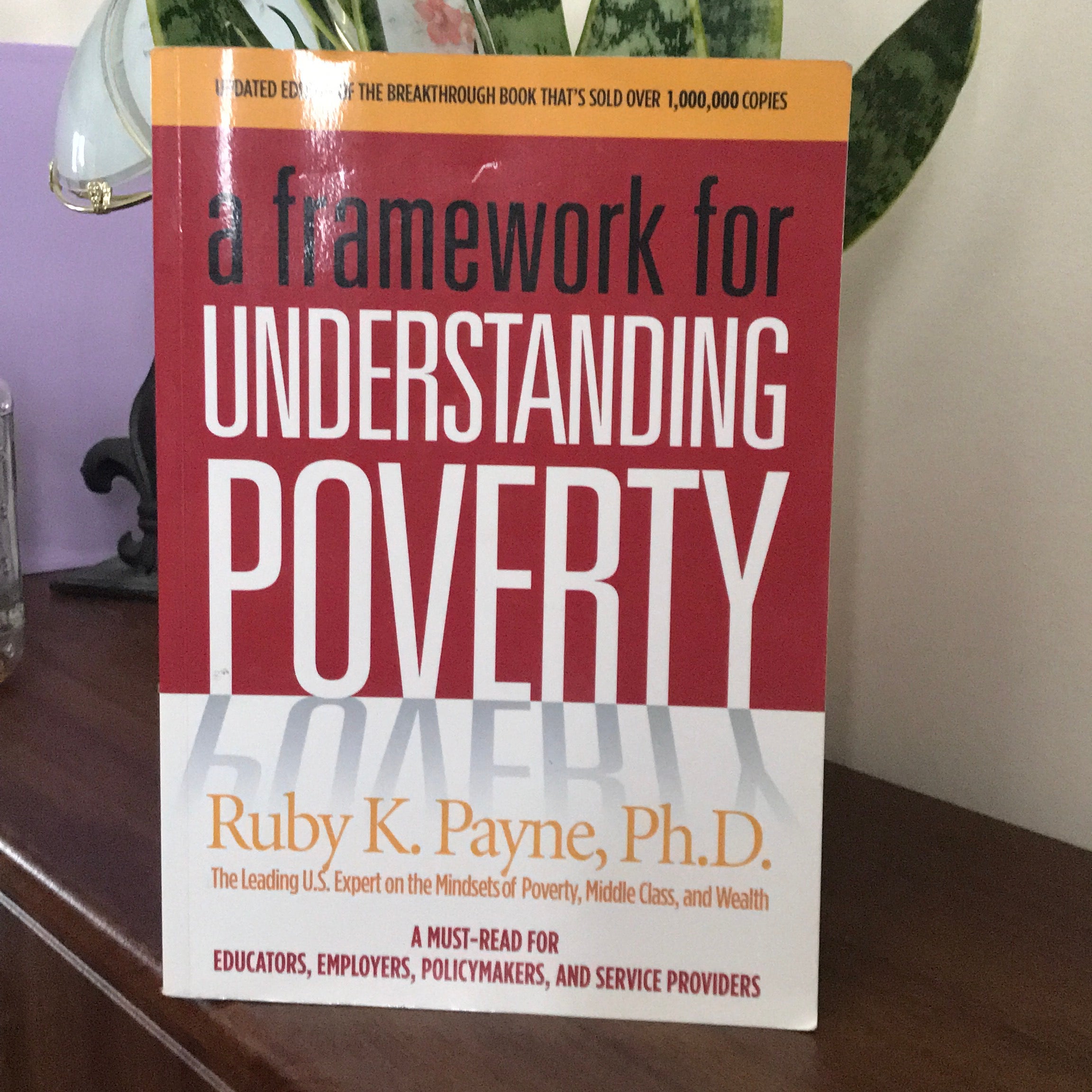 A Framework for Understanding Poverty