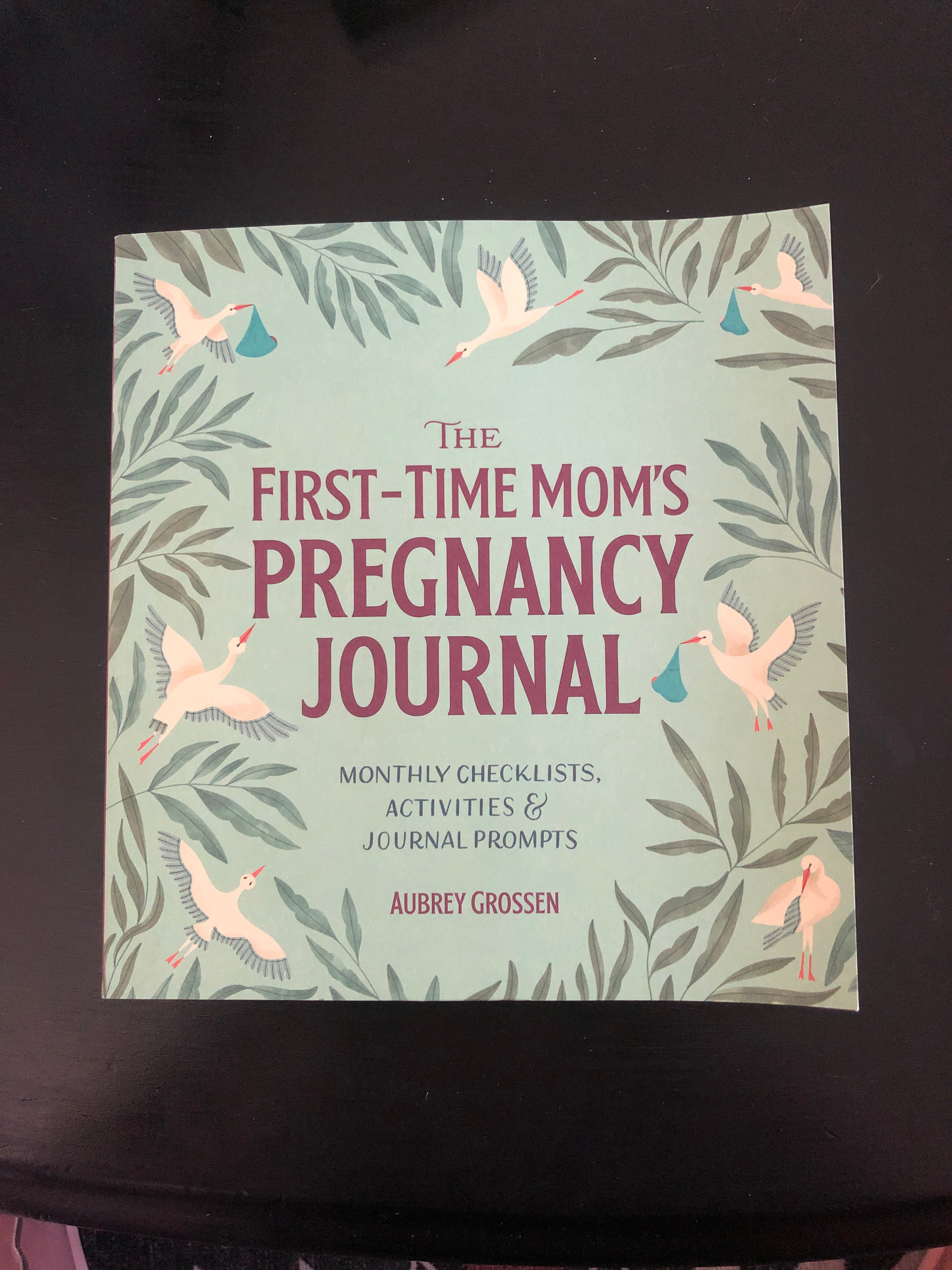 The First-Time Mom's Pregnancy Journal