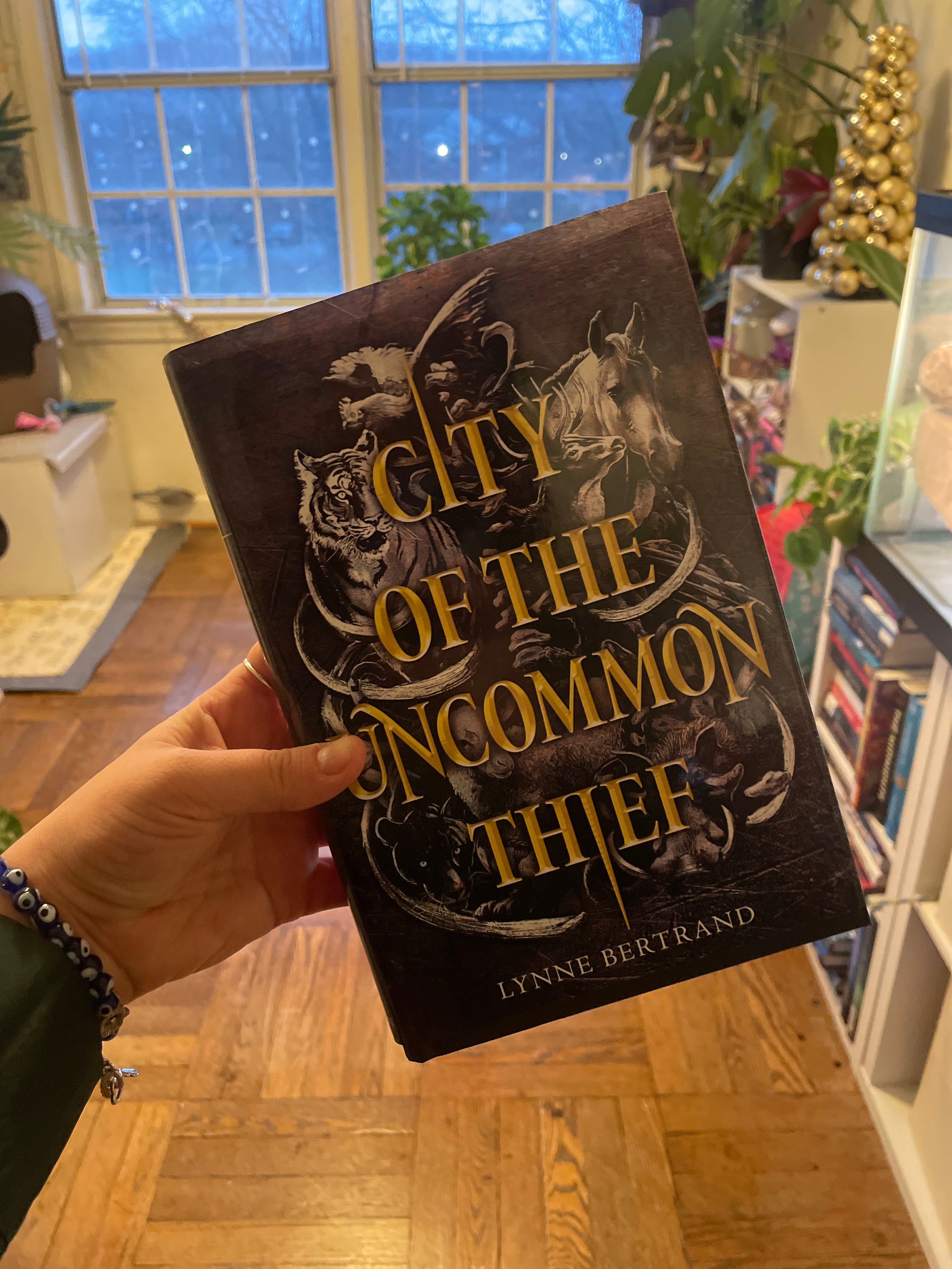 City of the Uncommon Thief