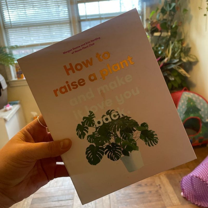 How to Raise a Plant