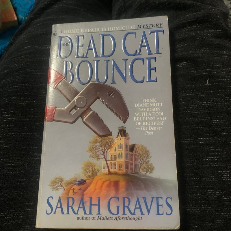 The Dead Cat Bounce