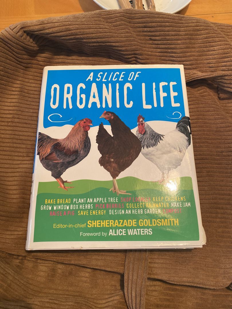 A Slice of Organic Life