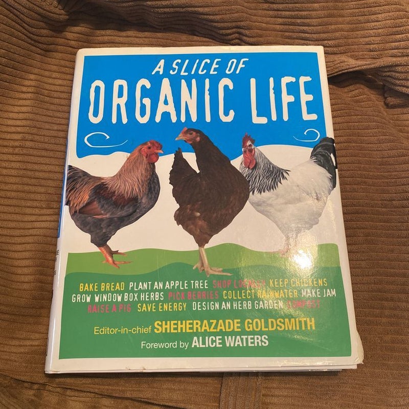 A Slice of Organic Life