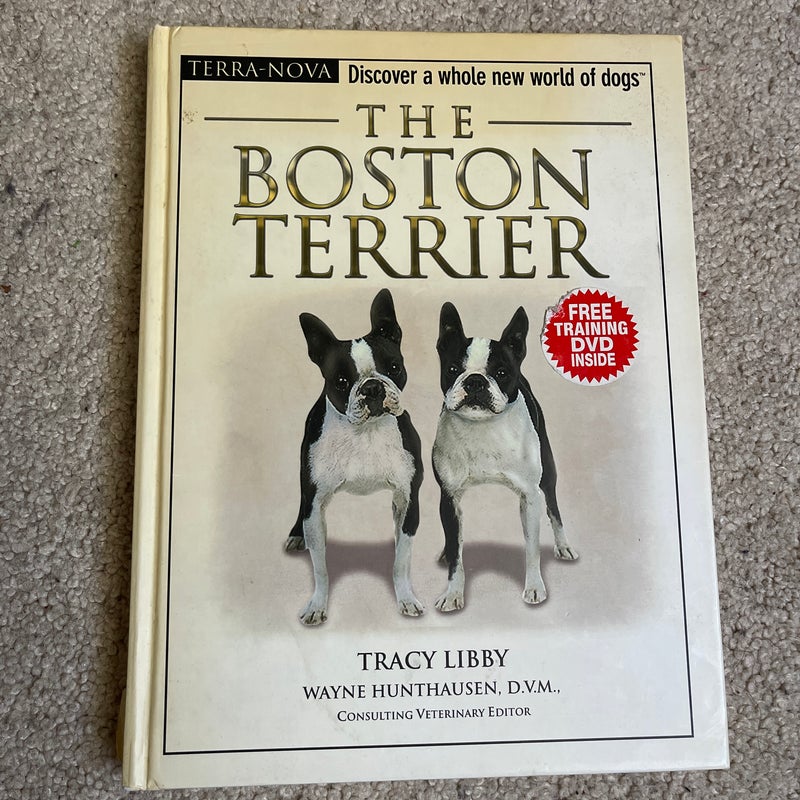 The Boston Terrier