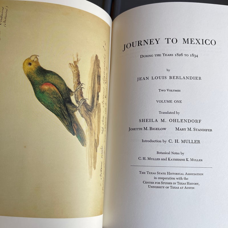 Journey To Mexico 