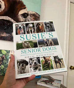 Susie's Senior Dogs