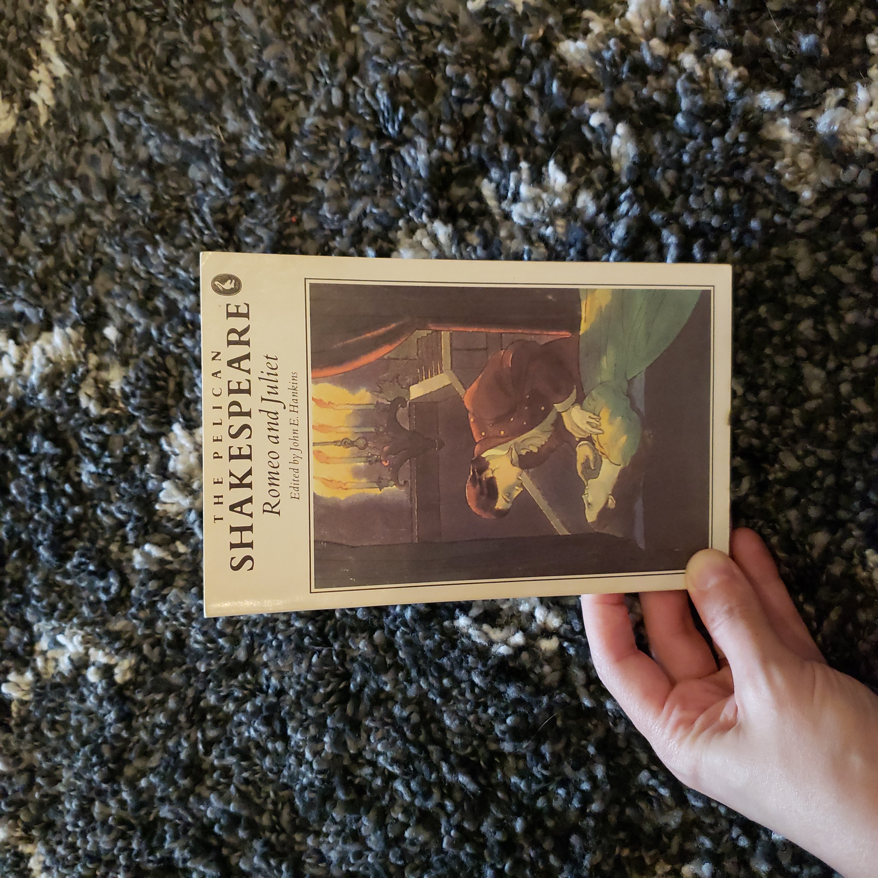 0140714197 book cover