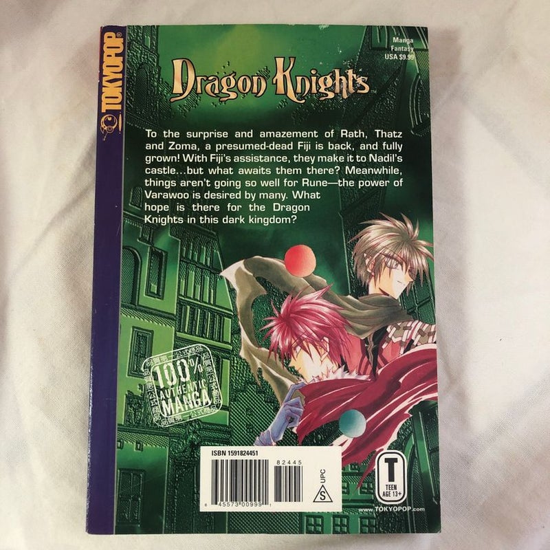 Dragon Knights 17