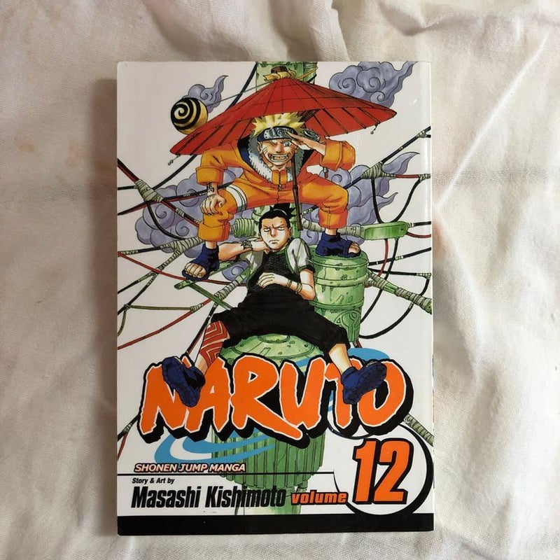 Naruto, Vol. 12