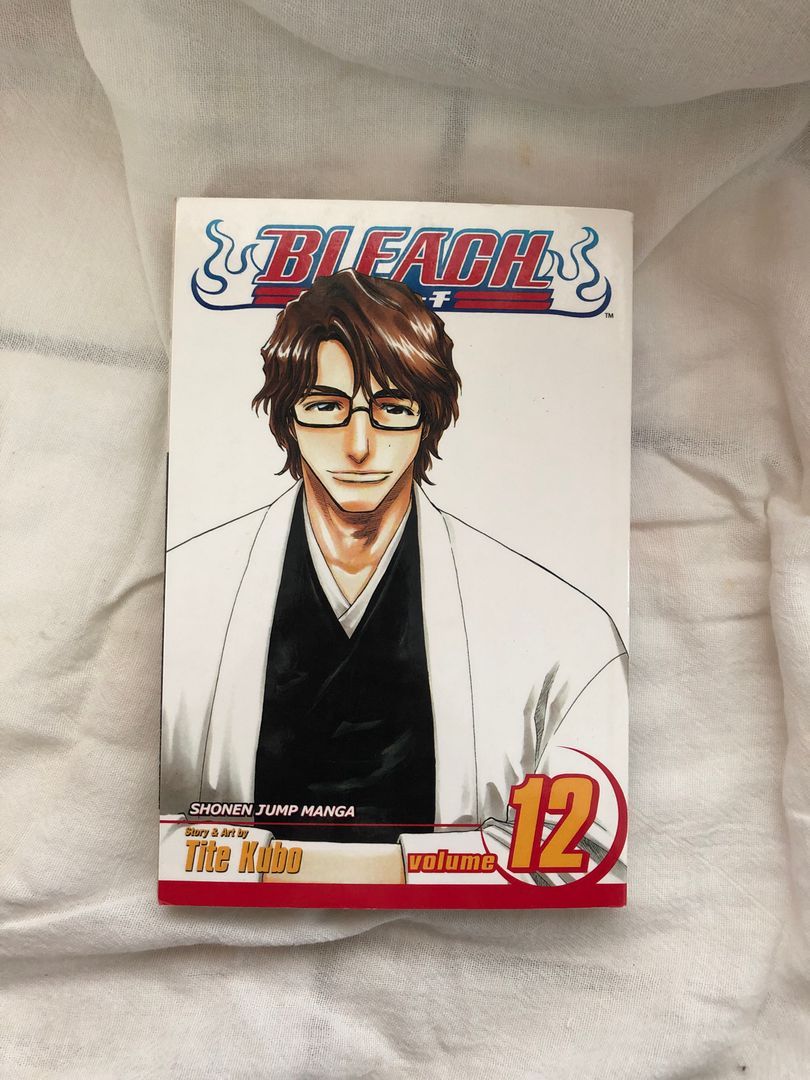 Bleach, Vol. 12