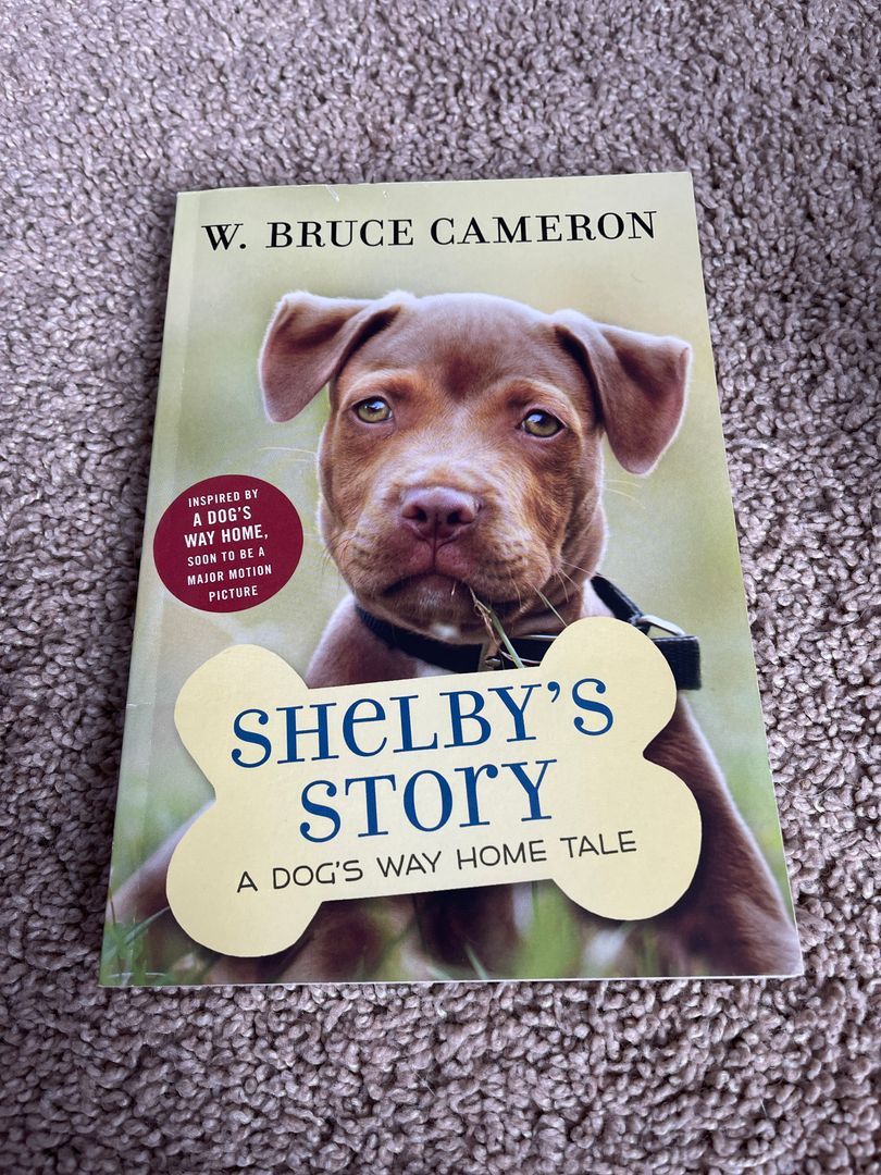 Shelby’s Story