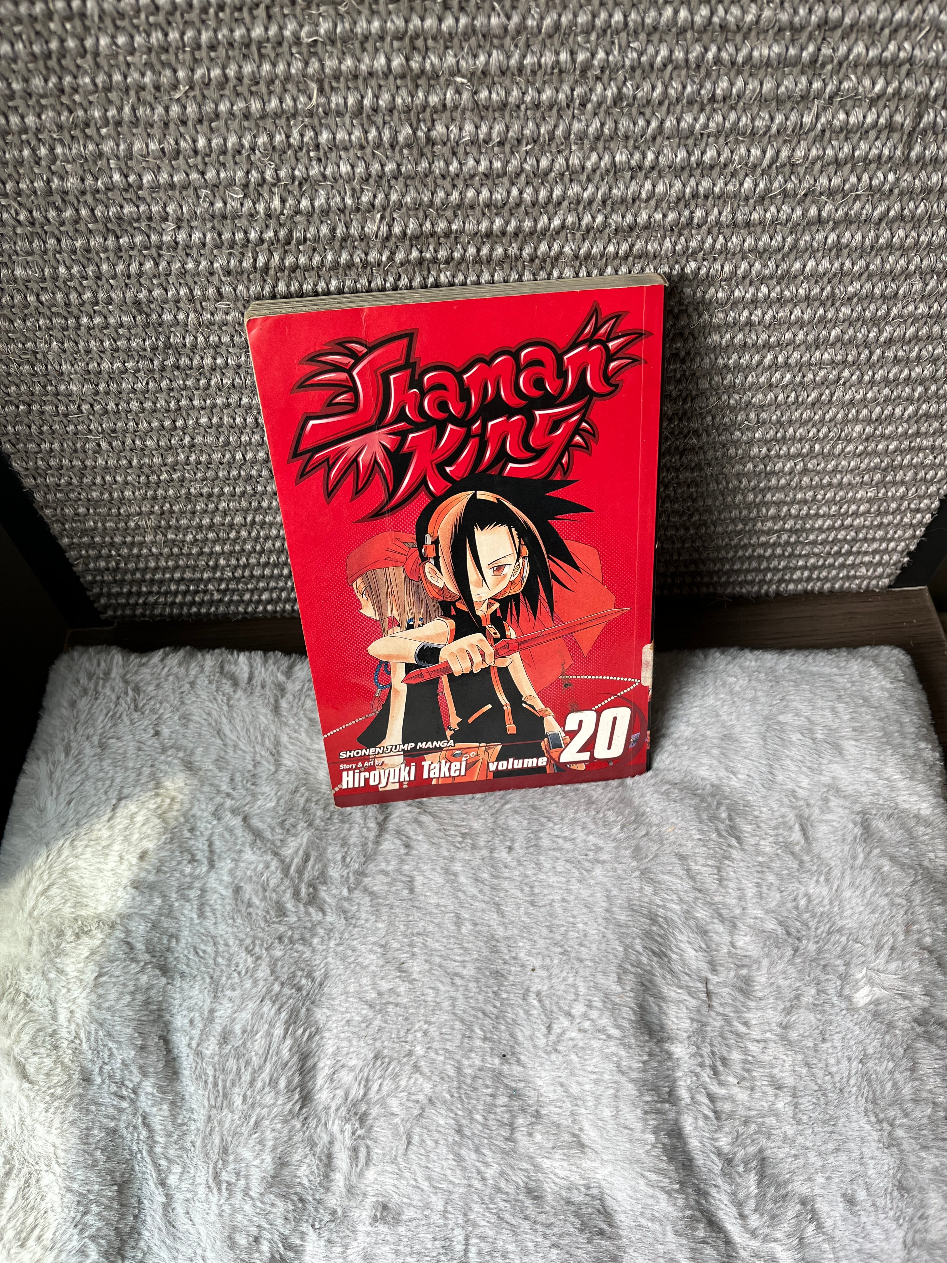 Shaman King