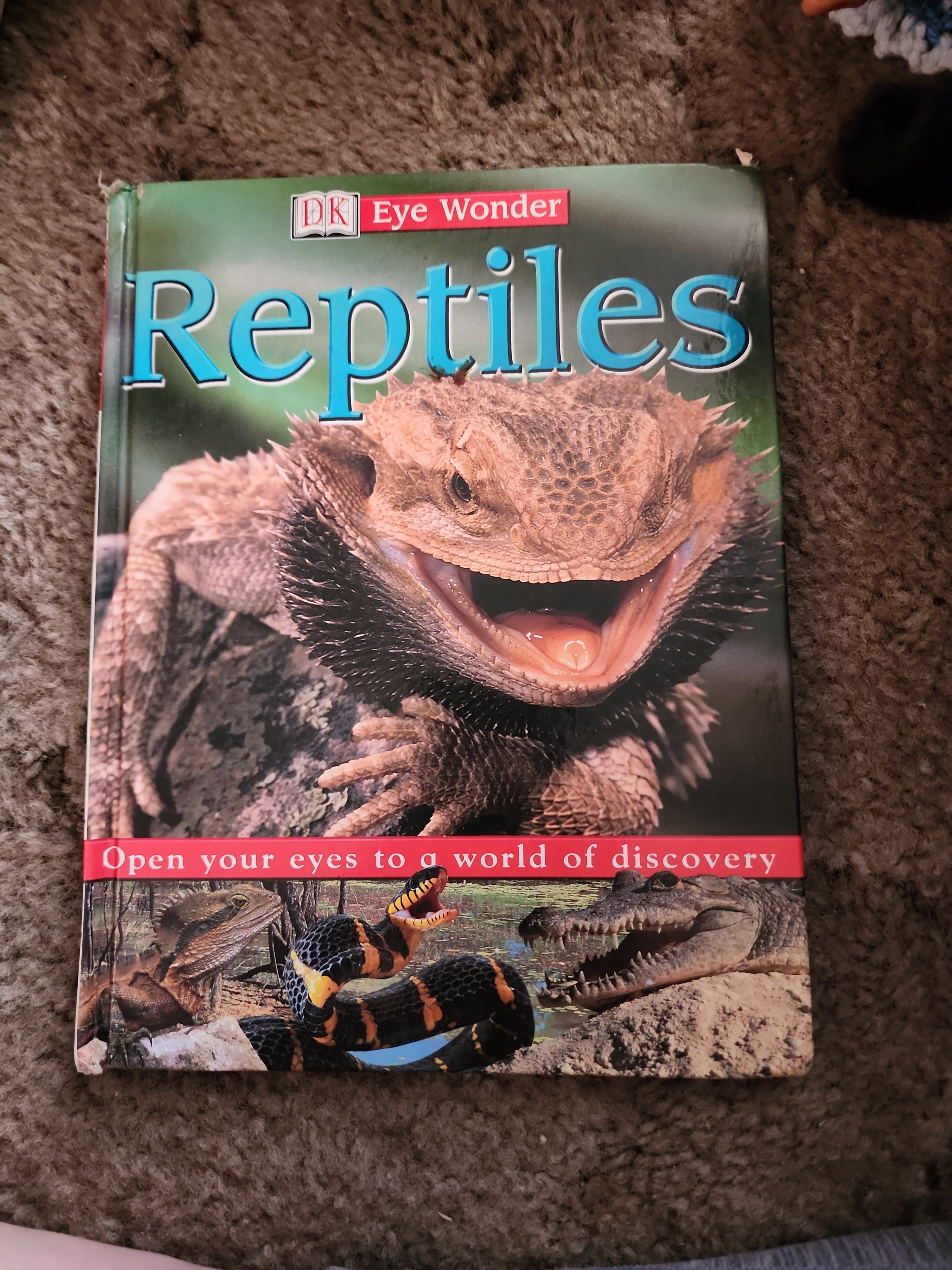 Reptiles