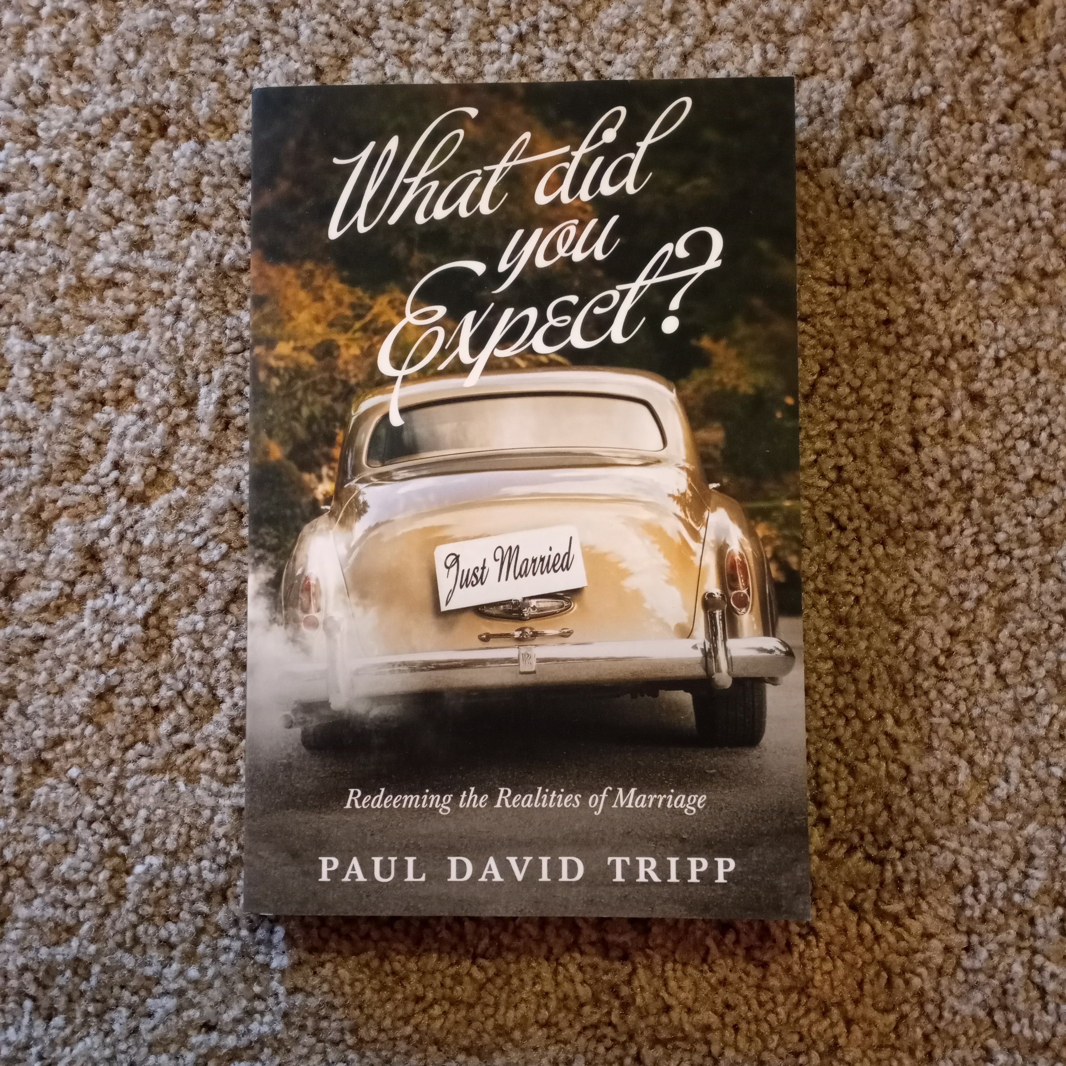 What Did You Expect? By Paul David Tripp | Pangobooks