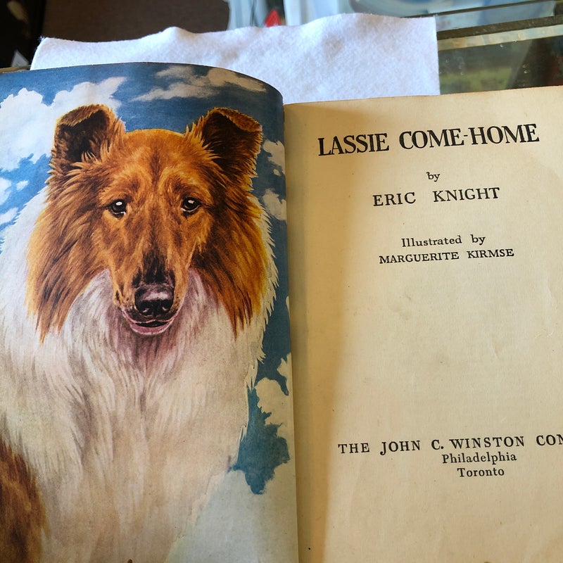 Lassie Come-Home